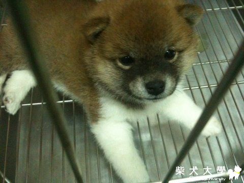 變很大....(原發表者:nicole92)(相簿)