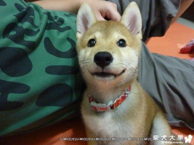 umi 微笑!?(原發表者:judy0809)(影片)