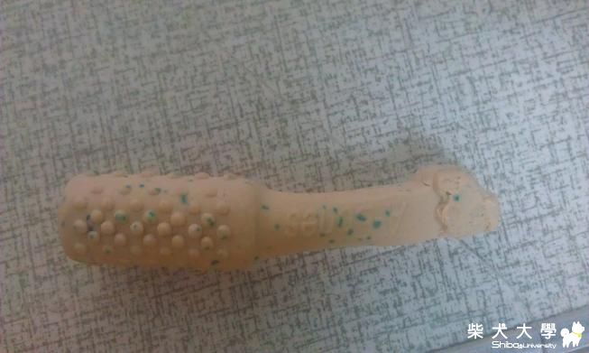 為什麼只吃頭??(原發表者:弟弟家)(相簿)