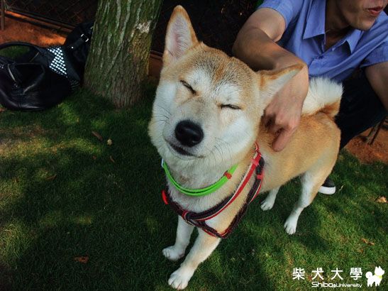 8/21柏林之大貴生日快樂！(原發表者:Migi姐)(相簿)