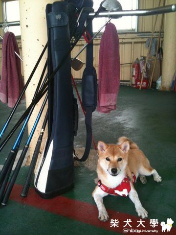 穩定性...(原發表者:nicole92)(相簿)