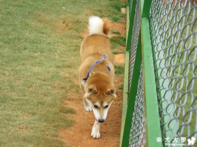 8月21日大貴生日柏林趴--果汁家(原發表者:果汁媽)(相簿)
