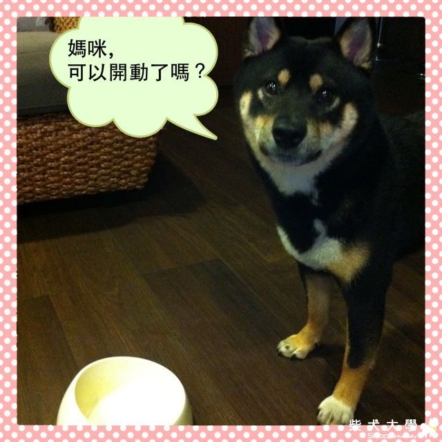 ta-ke幸福廚房之好菌多多很重要!!(原發表者:たけ拔麻)(飲食保健)