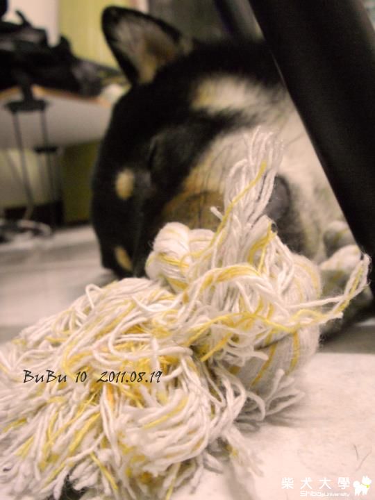 睡著了還想玩(原發表者:阿助)(相簿)