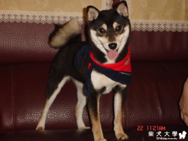 雪糕年輕特輯(原發表者:she931110)(相簿)