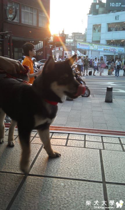 兜風時尚胖(原發表者:jjjjjcute)(相簿)