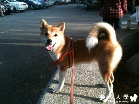 爬山去???(原發表者:nicole92)(相簿)