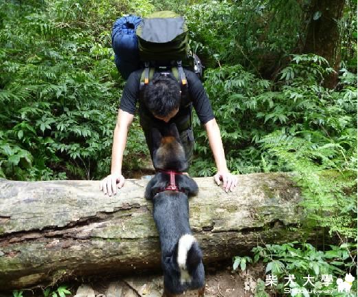 Kenji 登山記(原發表者:g9371042)(相簿)