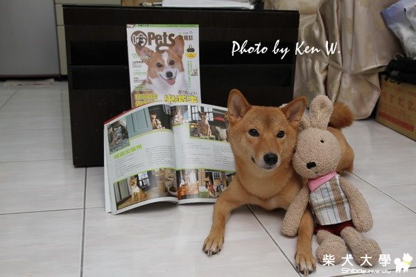 這不是廣告文...(原發表者:財妹拔拔)(綜合討論)