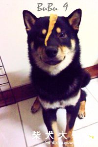 最遙遠的距離(原發表者:阿助)(相簿)