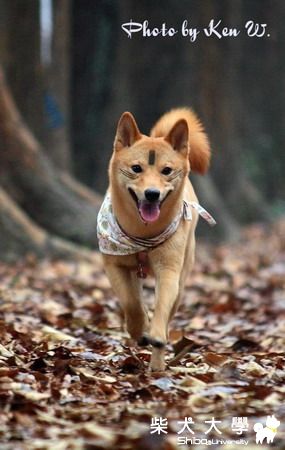 財妹超萌系力作(原發表者:財妹拔拔)(相簿)