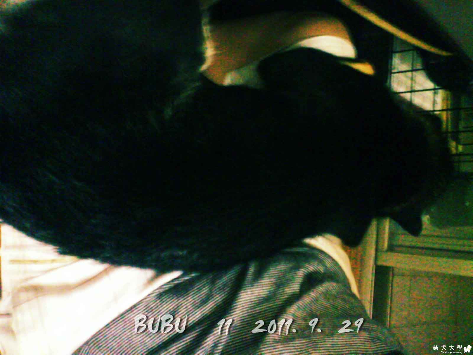 我有"真皮沙發床"(原發表者:阿助)(綜合討論)