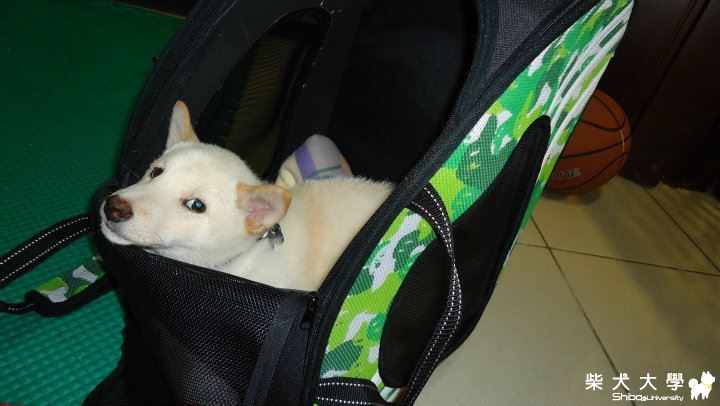 杏仁的舒服外出包包(原發表者:jimmilk7995)(綜合討論)