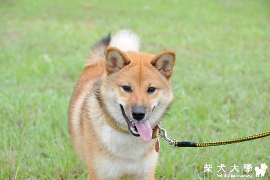 小P七個月(原發表者:小P媽)(相簿)