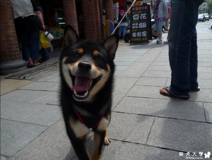 Kenji 飛牛牧場快樂遊(原發表者:g9371042)(相簿)