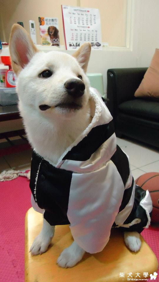 邁入秋冬添新衣~(原發表者:jimmilk7995)(相簿)