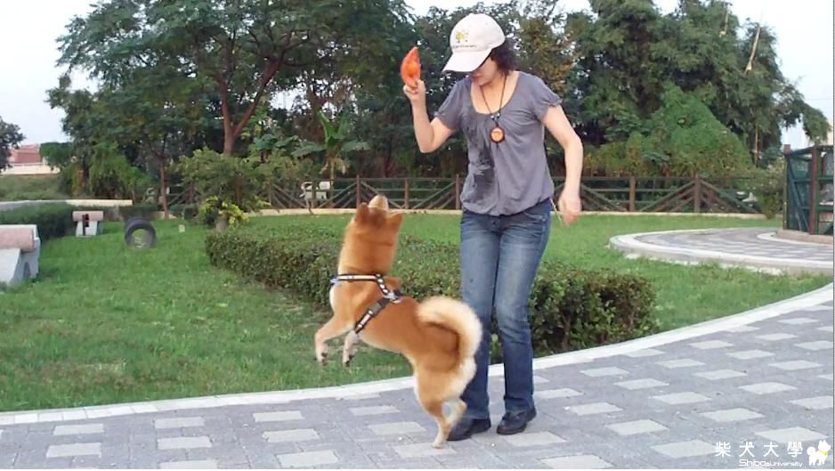 跟麻麻賽跑~~(原發表者:吉谷家)(相簿)