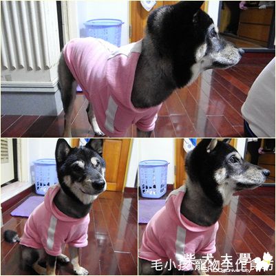 天氣冷穿衣服囉~~!(原發表者:adimus1998)(相簿)