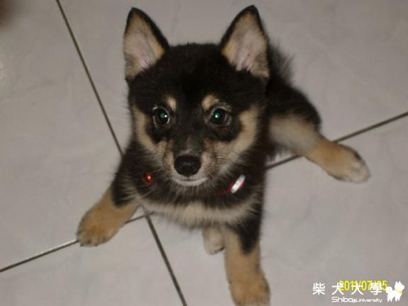 稚氣變美女(原發表者:COLA拔)(相簿)