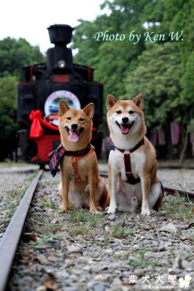 財妹&DOBI  台南烏樹林一日遊(原發表者:財妹拔拔)(相簿)