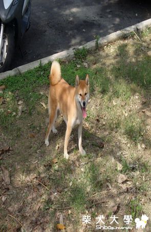 每天運動精神好...(原發表者:妮妮妹)(相簿)