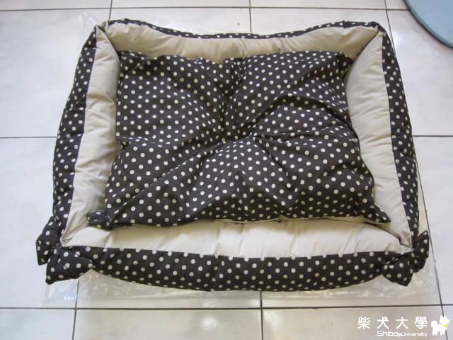 買了一個新床(原發表者:采柴家)(綜合討論)