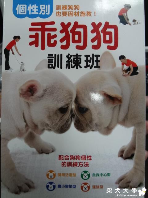 「乖狗狗訓練班』訓練狗狗也要因材施教(原發表者:團子媽)(綜合討論)
