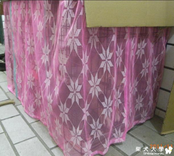 帥妹的蕾絲閨房~(原發表者:老大滴爸比)(相簿)