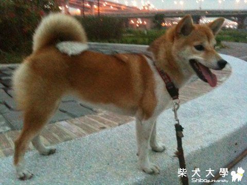 難得好天氣^_^(原發表者:nicole92)(相簿)