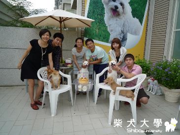 2011/11/19荳荳生日趴(假狗GO快樂民宿場地)(原發表者:ugasd)(相簿)