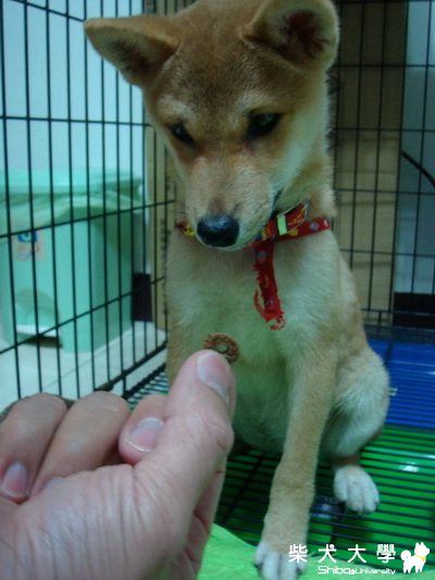 得不到的東西最好!(原發表者:LINDA9956)(相簿)