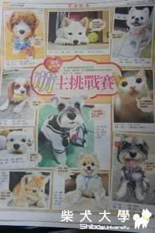 Yuki上報了~~(原發表者:nicloas)(綜合討論)