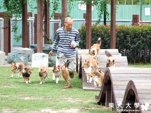 週六上午台中寵物公園(原發表者:Nicky拔)(相簿)