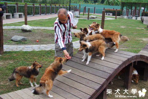 週日（１１／２７）再遊台中寵物公園(原發表者:Nicky拔)(相簿)