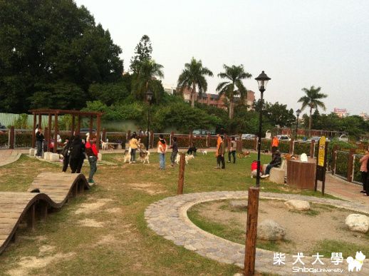 今天又去樂業寵物公園囉~(原發表者:哈吉的爹)(綜合討論)