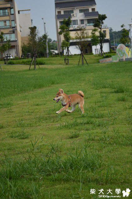 有小港人嗎???(原發表者:akon_1314)(綜合討論)