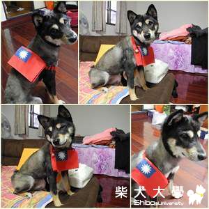 愛國小柴~!(原發表者:adimus1998)(相簿)