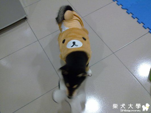 貼圖測試(原發表者:將將麻)(綜合討論)