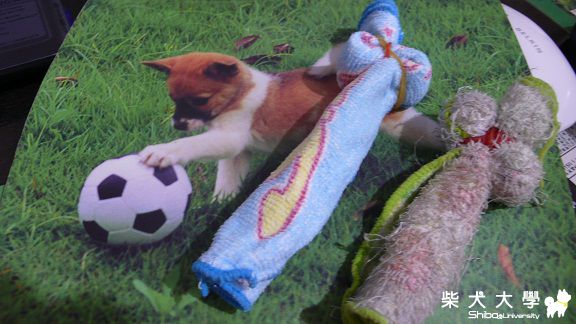 我甩甩甩(原發表者:niuniu11928)(相簿)