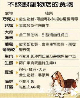 針對柴柴不可以吃的食物有哪些呢？(原發表者:大哥媽咪)(飲食保健)