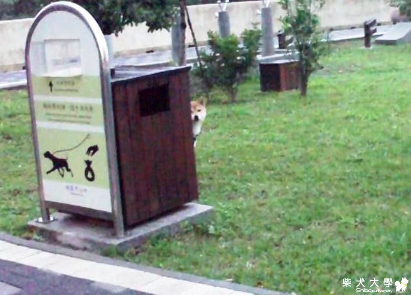 耍賴...還不想回家的吉谷..(原發表者:吉谷家)(相簿)