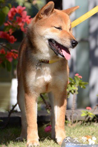 Nicky半年慶(原發表者:Nicky拔)(相簿)