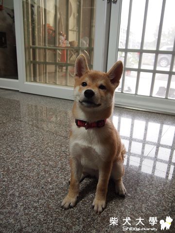 Q比好一陣子沒上來跟大家見面摟^^~~(原發表者:akon_1314)(相簿)