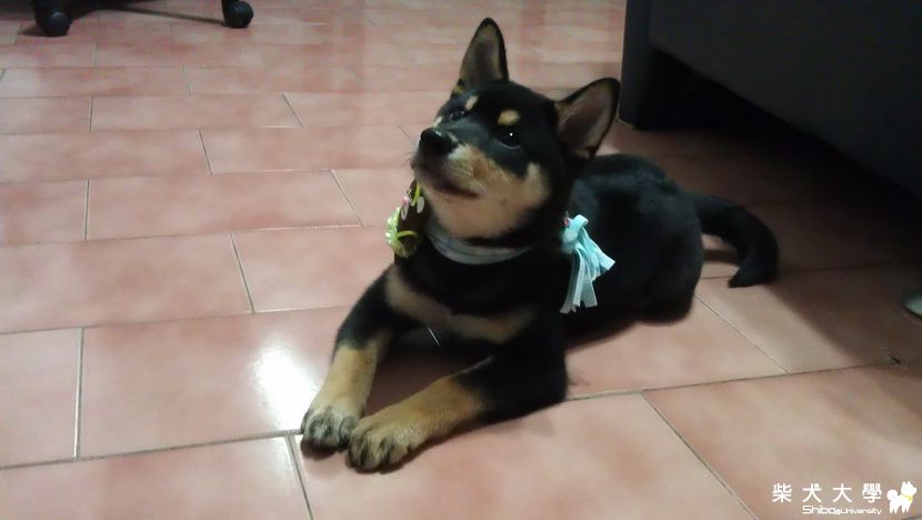 好溫暖的風~~(原發表者:養樂多爸)(相簿)