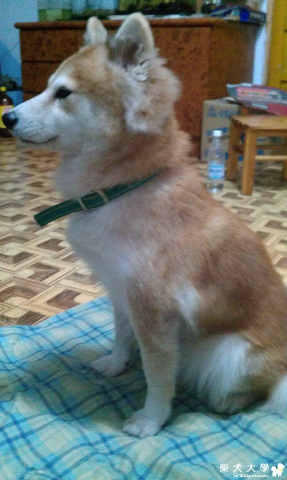 好久沒上來了捏!!(原發表者:a663636)(綜合討論)