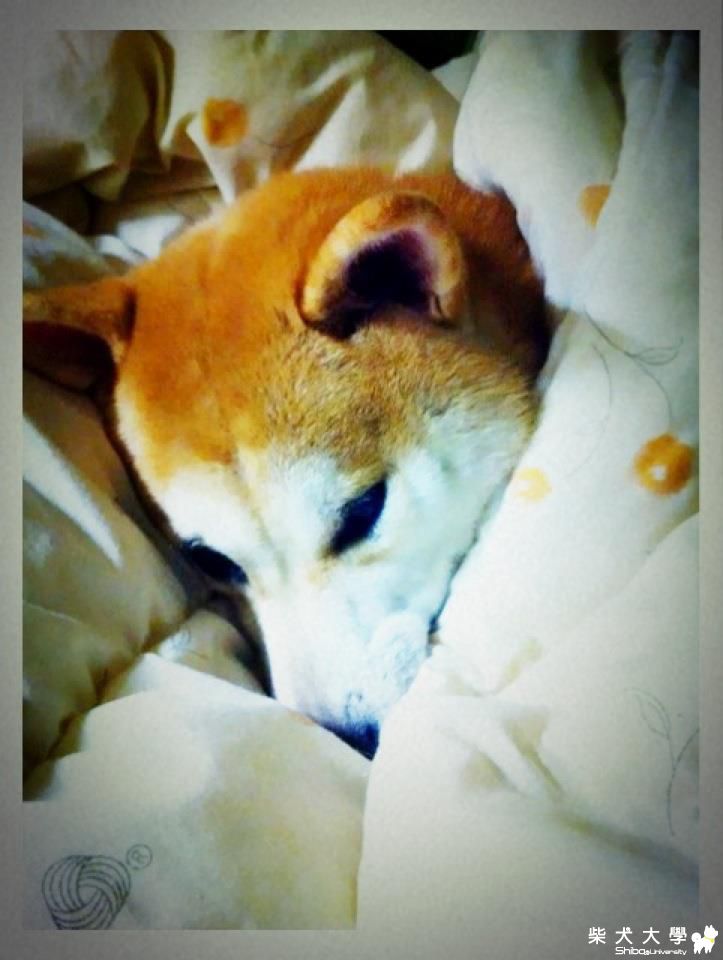 KURI ~~有這麼冷嗎 會不會太誇張了(原發表者:KURI麻)(相簿)