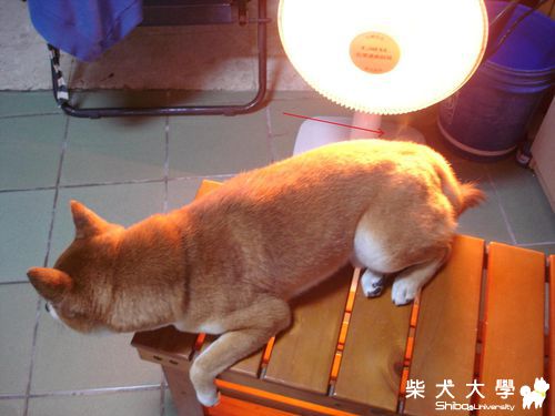 ~冒煙啦~(原發表者:一路家)(相簿)