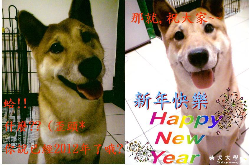 咖依醬祝大家新年快樂哦!!!(原發表者:咖依醬麻)(相簿)