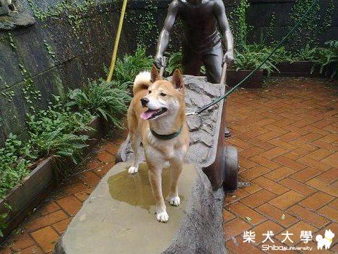 Asahi 九份一日遊(原發表者:joetu66)(相簿)