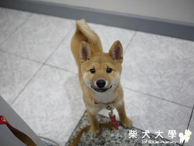 NAMI３個月照照～！(原發表者:NAMI麻)(相簿)